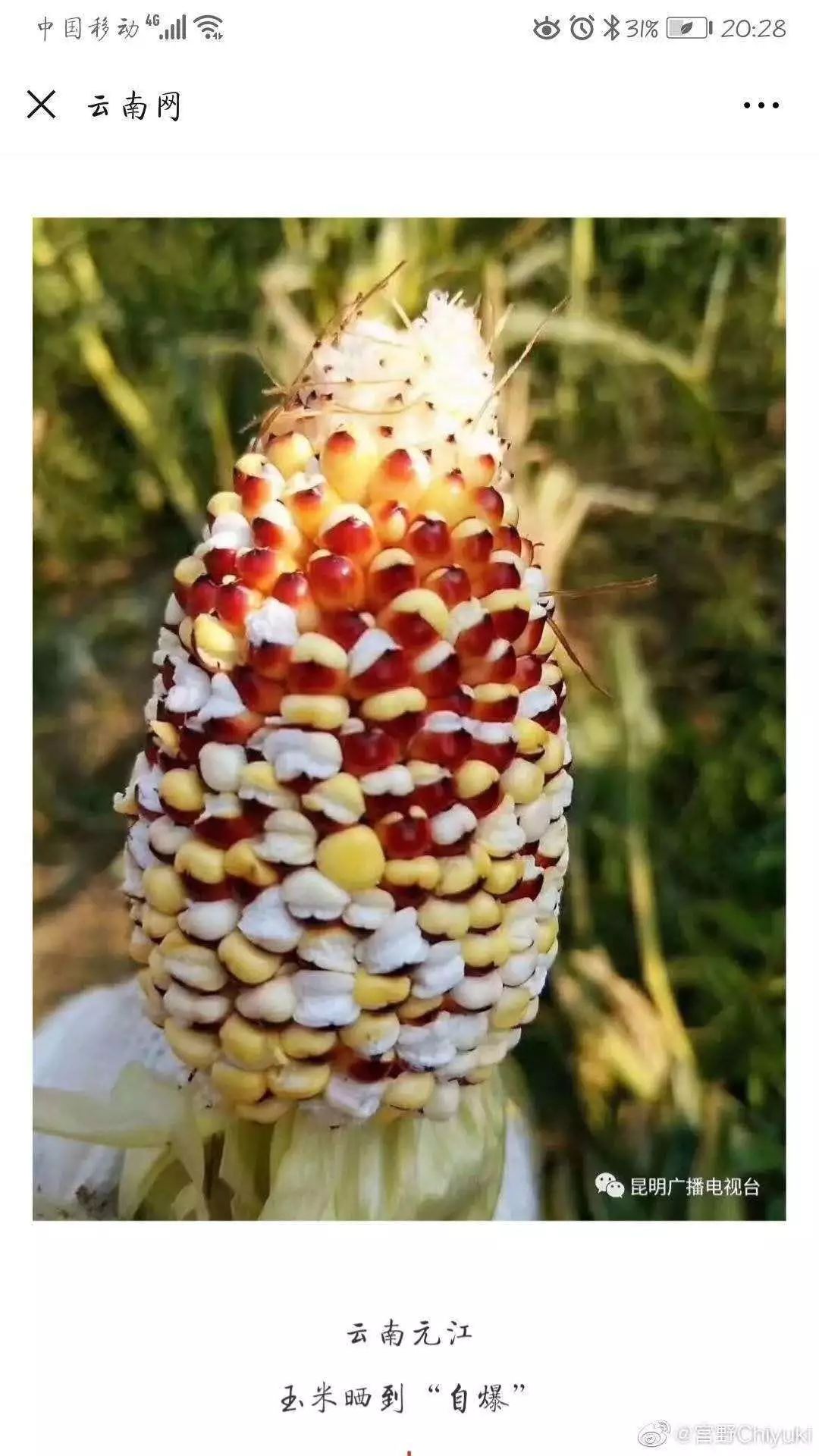 空氣能,太陽(yáng)能,熱水器