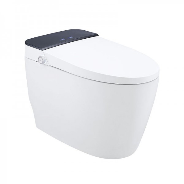 太陽雨智能馬桶/30/40坑距/即熱低水箱/漩沖/坐圈加熱/洗護(hù)/暖風(fēng)/離座沖水/自動翻蓋/遙控