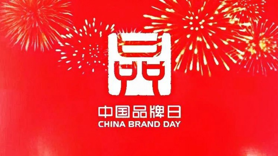 太陽雨集團(tuán)應(yīng)邀參加2020中國品牌云峰會